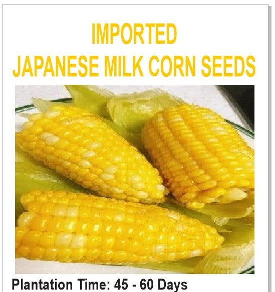 8613