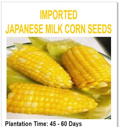 8613